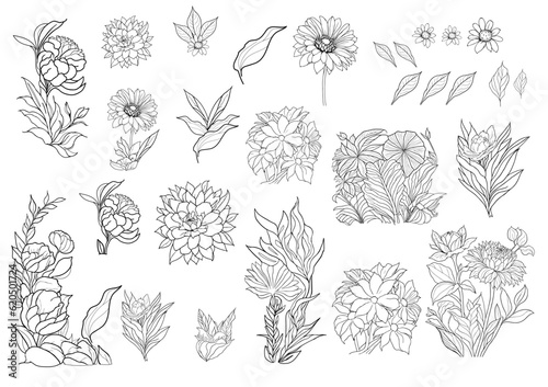Wallpaper Mural drawing line floral set for coloring page Torontodigital.ca
