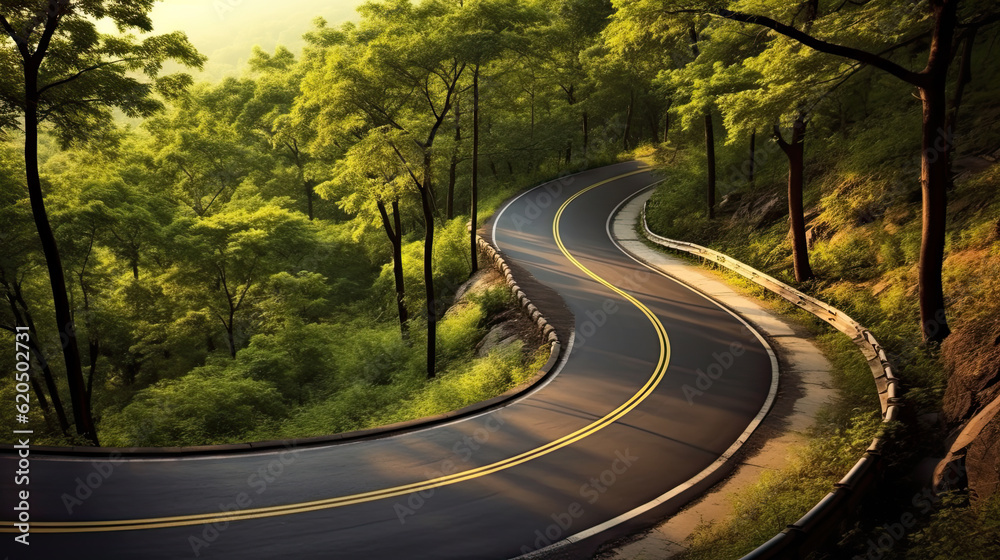 Fototapeta premium Winding curvy rural road with light trail from headlights leading through countryside.