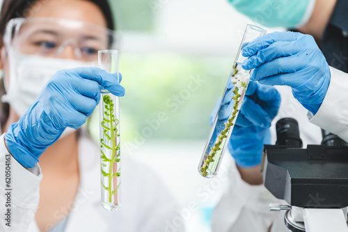 botany science laboratory, ...