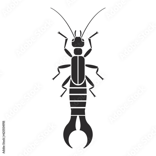 Insect order dermaptera earwig geometric icon vector illustration