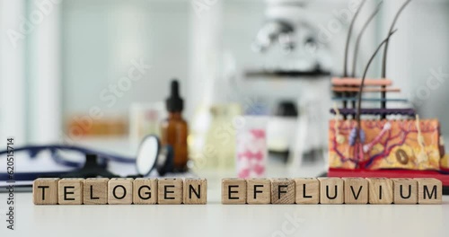 Causes of telogen effluvium and prevention and structure of skin and hair. Scalp disease is characterized by thinning or hair loss as result of early appearance of hair in telogen phase