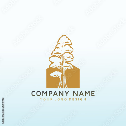 Modern construction wood company looking for design
