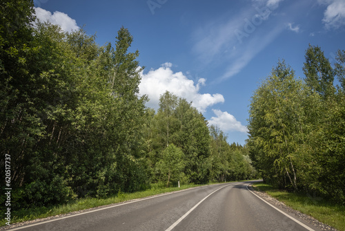 Summer road through the forest © tarasov_vl
