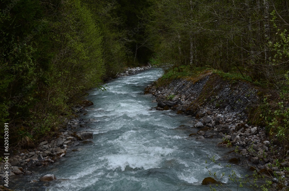 Beautiful view of river flowing among forest in mountains Beautiful view of river flowing among forest in mountains