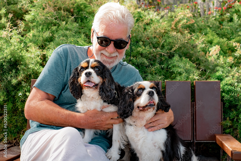 Senior smiling man with black sunglasses sitting on a bench in the park with his two cavalier king charles dogs. Elderly bearded man  and his best friends