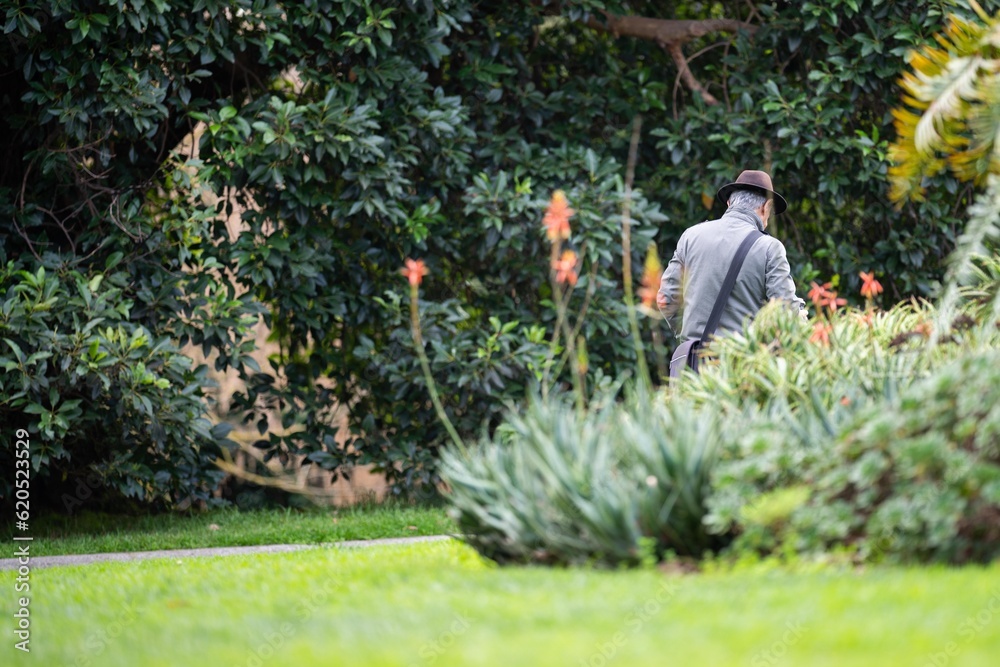 couple walking in a garden. man and woman walk in nature under trees surrounded by plants. family together in a park in spring time couple walking in a garden. man and woman walk in nature under trees surrounded by plants. family together in a park in spring time