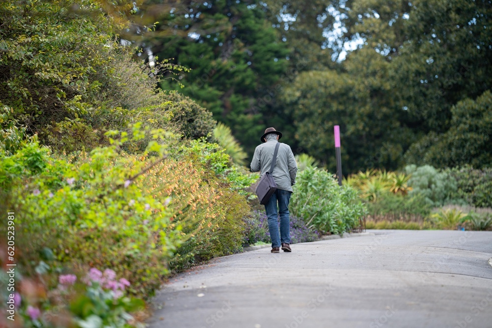 couple walking in a garden. man and woman walk in nature under trees surrounded by plants. family together in a park in spring time couple walking in a garden. man and woman walk in nature under trees surrounded by plants. family together in a park in spring time