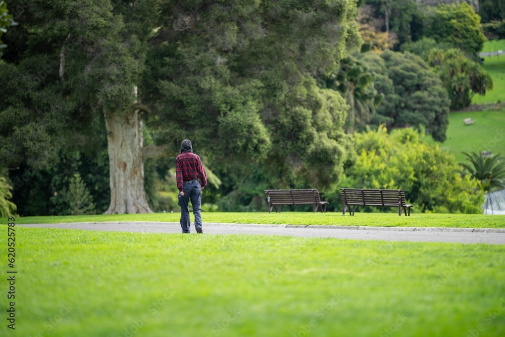 couple walking in a garden. man and woman walk in nature under trees surrounded by plants. family together in a park in spring time couple walking in a garden. man and woman walk in nature under trees surrounded by plants. family together in a park in spring time