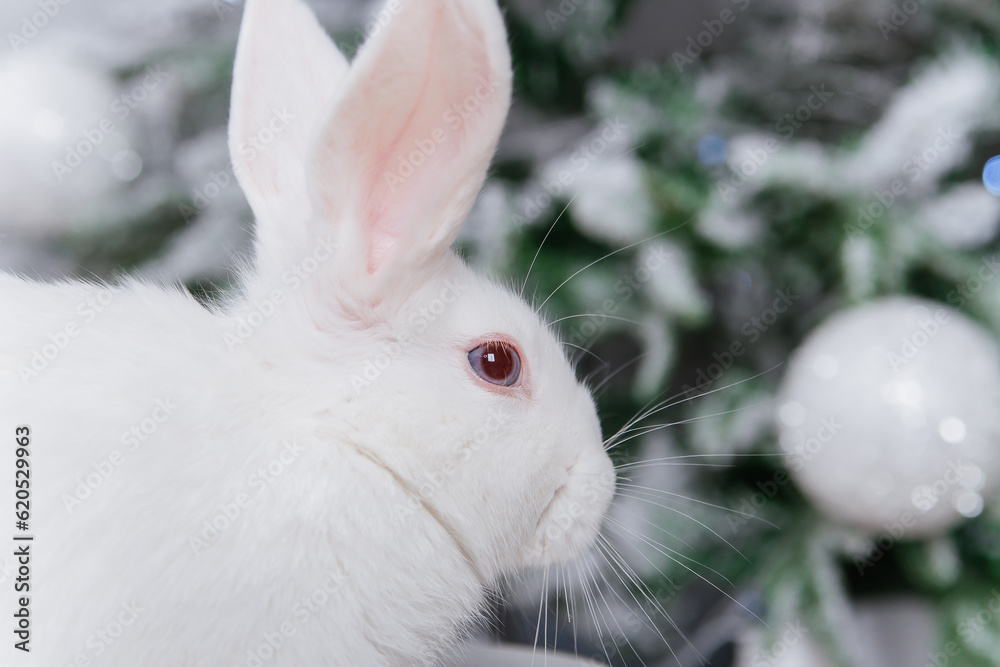 White fluffy rabbit on the bokeh background of the Christmas tree. White fluffy rabbit on the bokeh background of the Christmas tree.