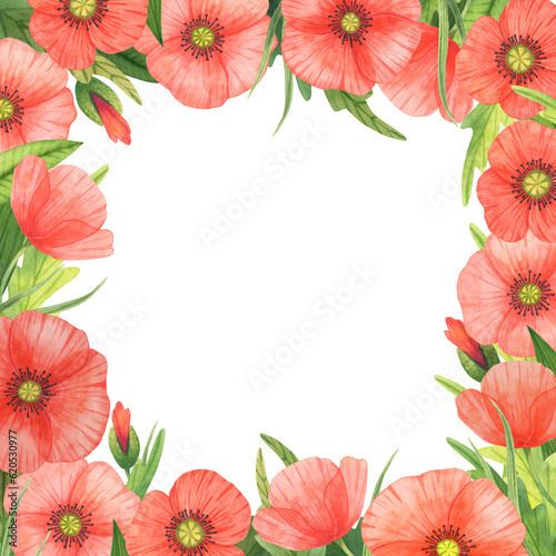 Watercolor poppy flowers square frame © Alex Pictures