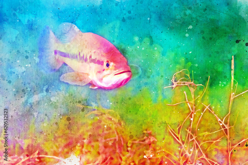 Digitally created watercolor painting of a largemouth bass swimming in an inland lake