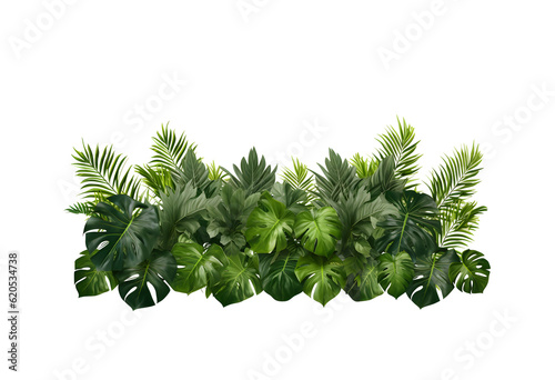Fototapeta Naklejka Na Ścianę i Meble -  Tropical leaves foliage plant jungle bush floral, PNG	
