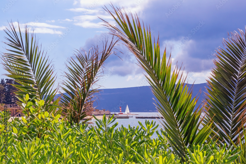 Fototapeta premium Beautiful Mediterranean landscape. Montenegro, Adriatic Sea, view of Kotor Bay near Tivat city