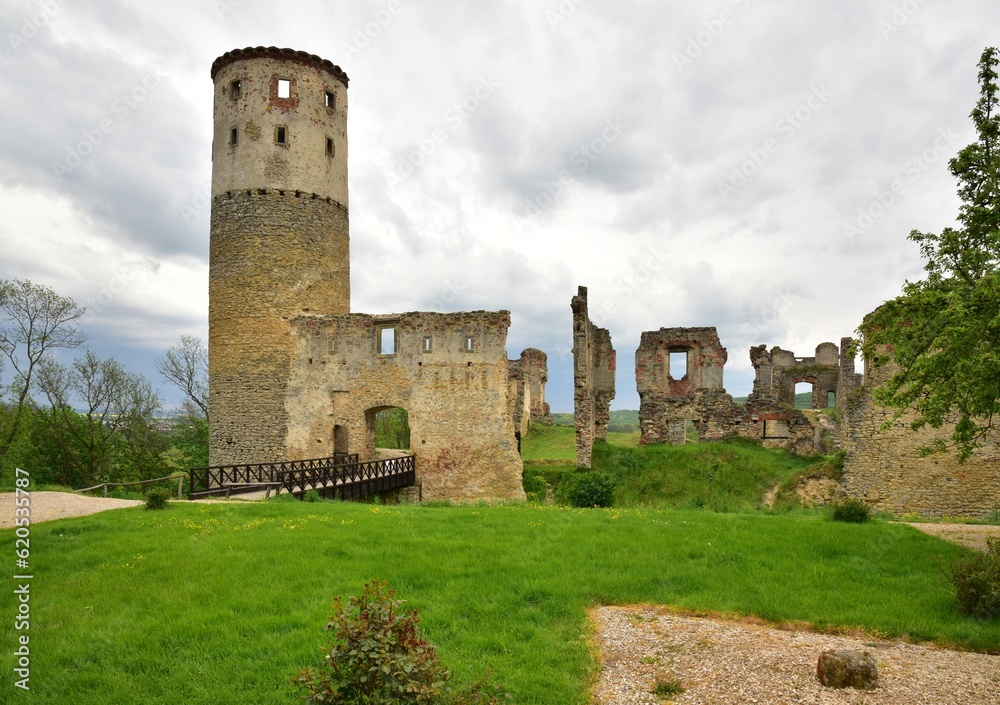 Zřícenina hradu zámku Zvířetice