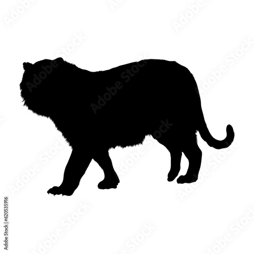 Walking Siberian Tiger Silhouette Good To Use For Element Print Book, Animal Book and Animal Content