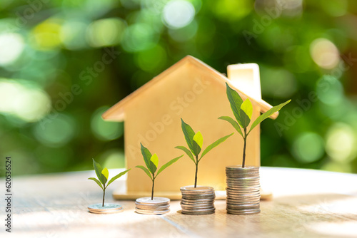 Investor of real estate.  The plants growing on money coin stack for investment home.  Â Investment mortgage fund finance and interest rate home loan,  green nature background Investment Concept