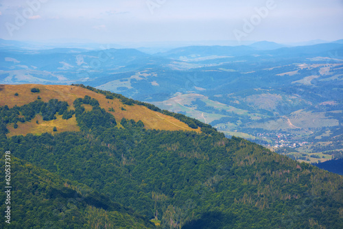 Fototapeta Naklejka Na Ścianę i Meble -  mountainous landscape in late summer. rolling hills in yellow and orange colors. beautiful nature background on a sunny afternoon