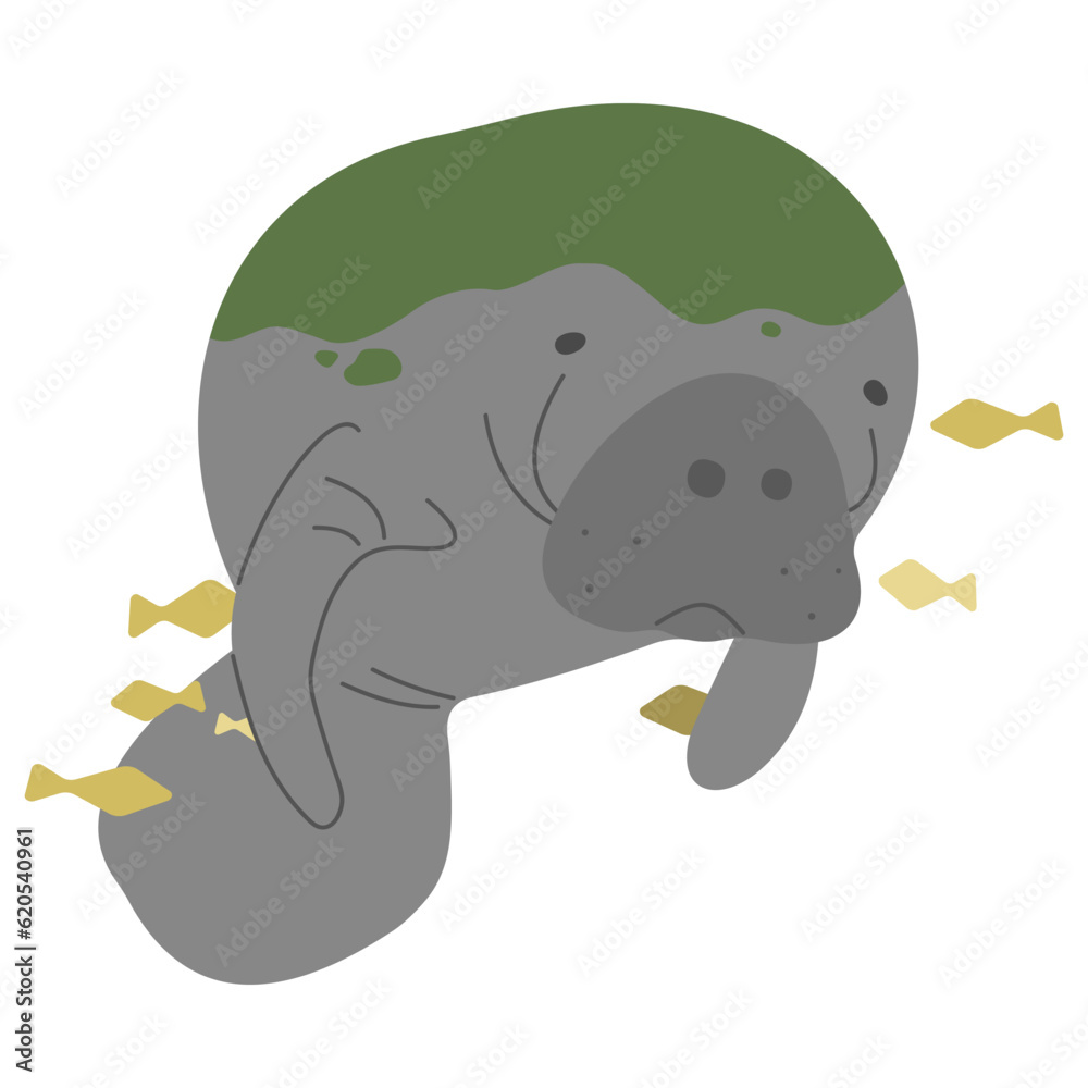 Obraz premium Manatee Single 5 cute on a white background, vector illustration