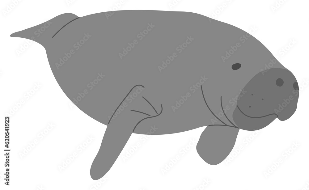Manatee Single 20 PNG Manatee Single 20 PNG