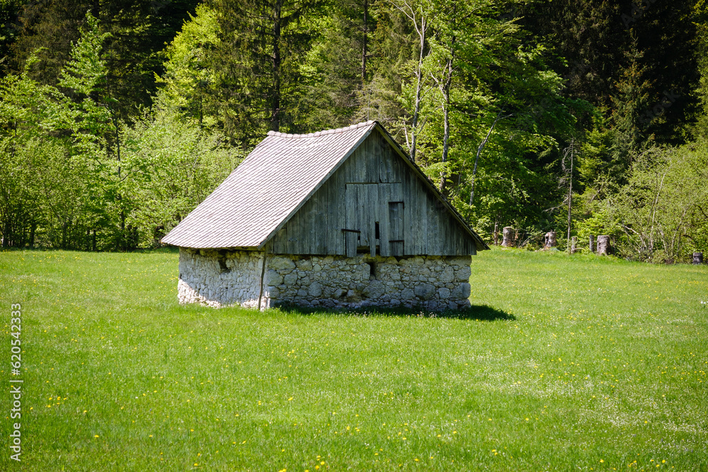 Radovna Valley in spring in Slovenia
Radovna Valley in spring in Slovenia