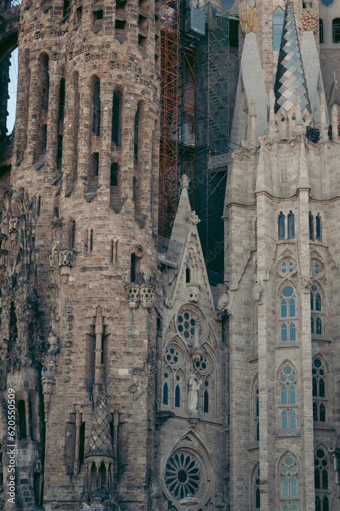 Naklejka premium Landscape