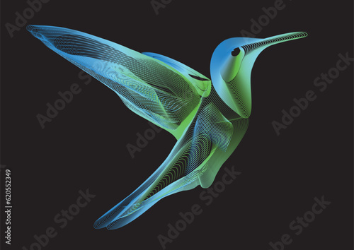 Vector image of a colibri made by Line Art Technique on a black background