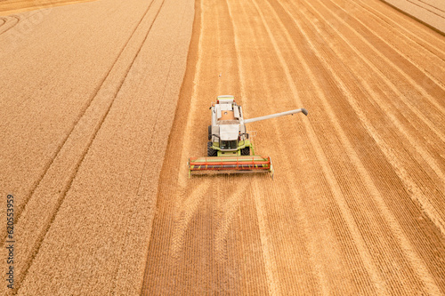 The combine harvests wheat in the field and prepares the pipe for unloading the bunker. Black Sea Grain Initiative, grain deal. Aerial front view