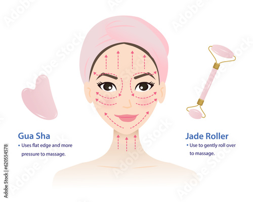 Infographic of how to use Gua sha face stone and Jade roller massage tool with cute woman face vector isolated on white background. Direction for massage upward across and along the face.