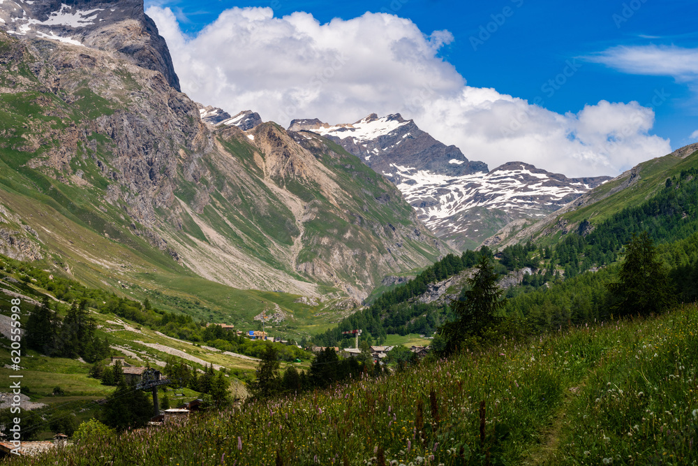 La vallée de la Tarentaise : majesté des sommets alpins, herbages et forêts de conifères, Savoie, Alpes, France