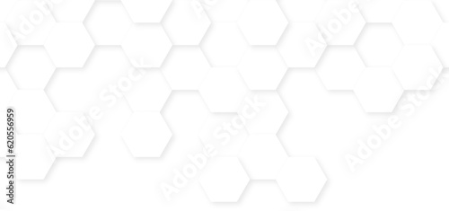 Abstract White Hexagonal Background. Luxury White Pattern. Vector Illustration. 3D Futuristic abstract honeycomb technology mosaic white background. geometric mesh cell texture.