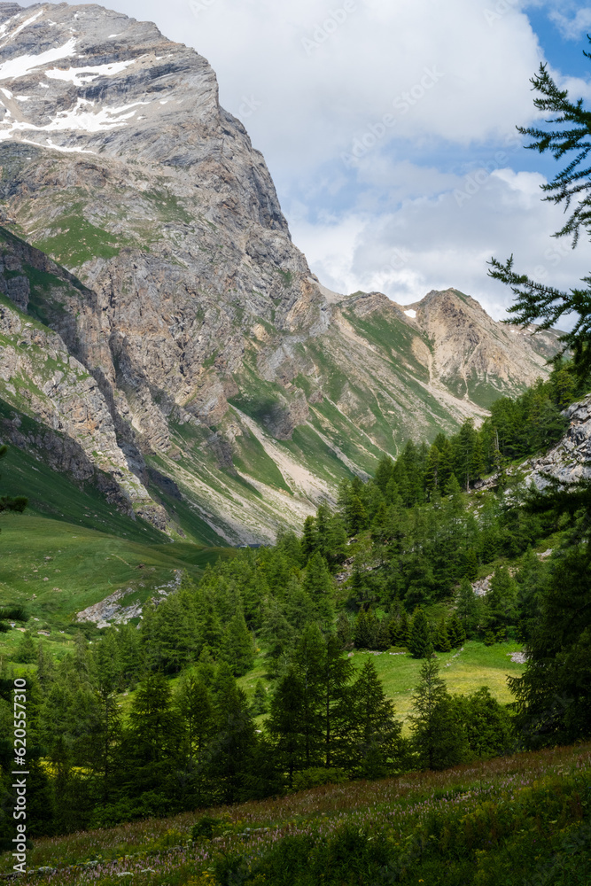La vallée de la Tarentaise : majesté des sommets alpins, herbages et forêts de conifères, Savoie, Alpes, France