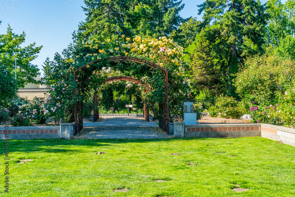 Fototapeta premium Seatac Garden In Bloom 4