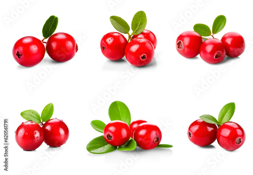 Collection of cranberries with green leaves isolated on transparent background 
