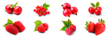 Collection of red berries on transparent background (Red Currants, Cranberry, Gooseberry, Lingonberry, Loganberry, Raspberry, Strawberry)
