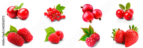 Collection of red berries on transparent background (Red Currants, Cranberry, Gooseberry, Lingonberry, Loganberry, Raspberry, Strawberry)
 photo
