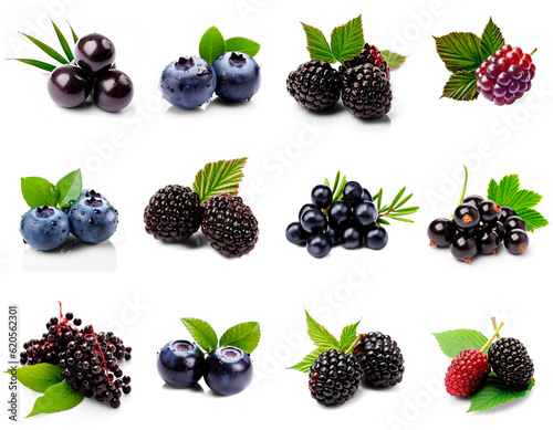 Set of blue and black berries on transparent (Acai, Bilberry, Blueberry, Blackbe Fototapet