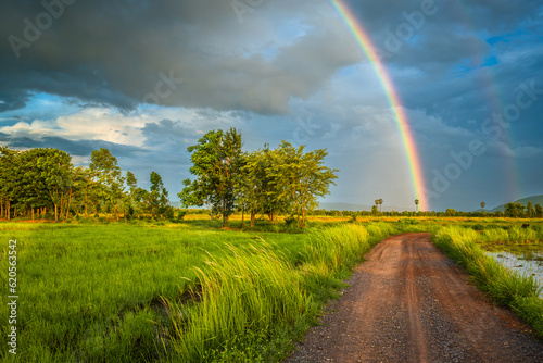 Rainbow over the rice field and dirt road, rainy season in countryside