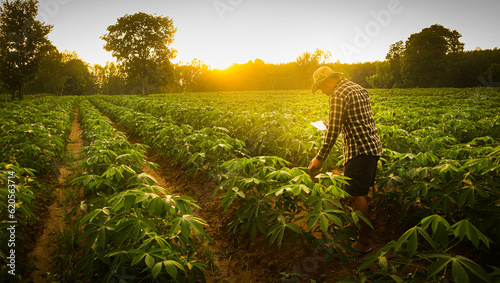 Farmers use virtual image technology from tablets to help plant care.