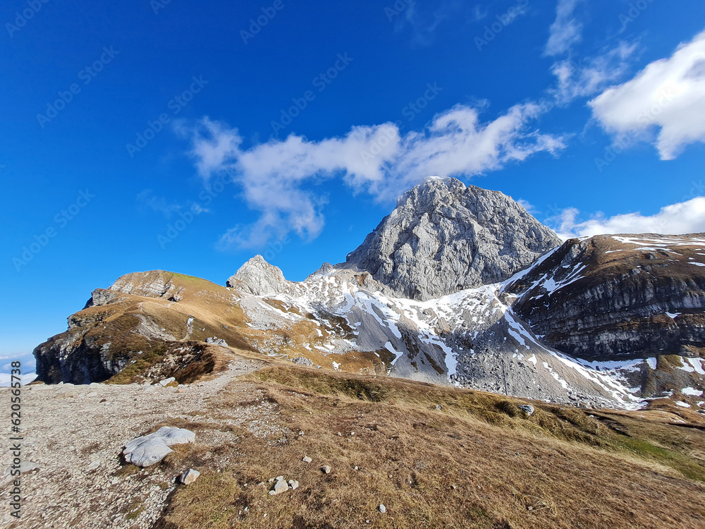Obraz premium Mountain peak over scree slopes and grassy meadows