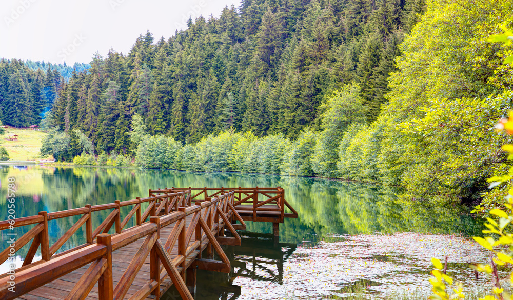 Black Lake (karagol) in Sahara National Park, one of the most beautiful lakes of the Black Sea Region - Rize, Turkey Black Lake (karagol) in Sahara National Park, one of the most beautiful lakes of the Black Sea Region - Rize, Turkey