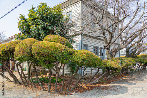 昭和初期の木造建築