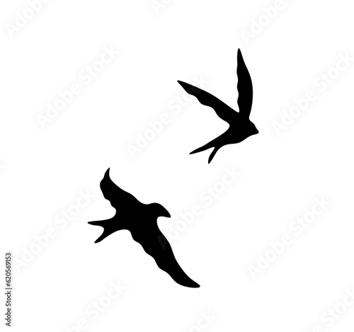 Vector isolated two pair couple flying swallows birds  side view colorless black and white contour outline silhouette shadow shape