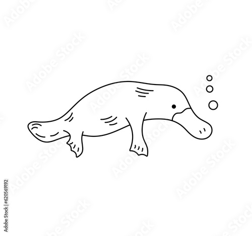 Vector isolated one single cute cartoon swimming duckbill platypus underwater colorless black and white contour line easy drawing