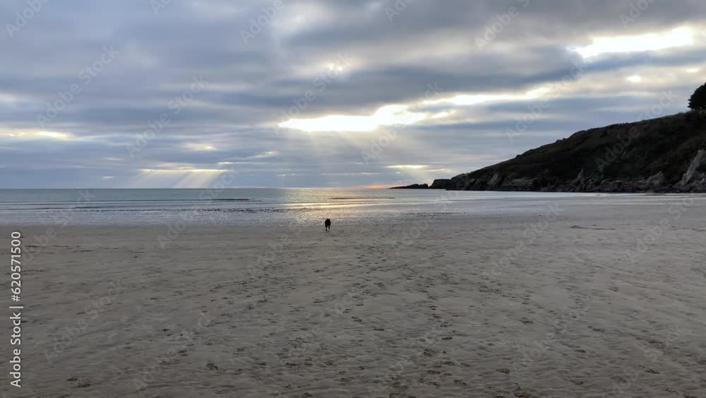 A black labrador retriever chases a ball into the sea on an empty beach as the sun is setting behind them with a dramatic sky - Mothecombe, Devon, UK A black labrador retriever chases a ball into the sea on an empty beach as the sun is setting behind them with a dramatic sky - Mothecombe, Devon, UK