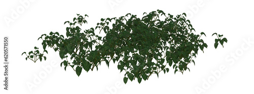 Tropical Rain Forest Foliage 3D Illustration, Image 11 of series