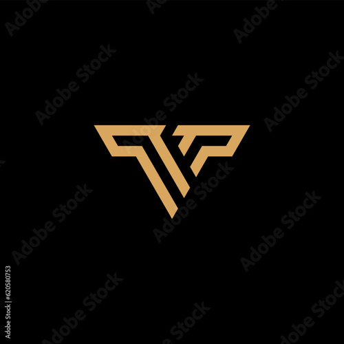 Logo v t design business concept, Letter VT Logo