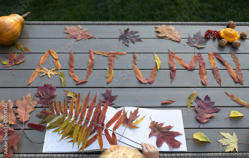 collection of fallen colorful multi-colored leaves from different trees laid out on the table in the word autumn. Hello, Autumn. natural material for herbarium. creative seasonal games with children © Anna