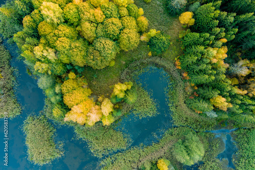 Amazing aerial top down view of Kirkilai karst lakes in the bright sunny autumn morning, Birzai eldership, Lithuania