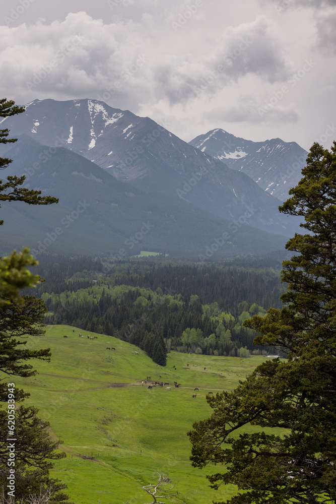 Obraz premium Montana Landscape