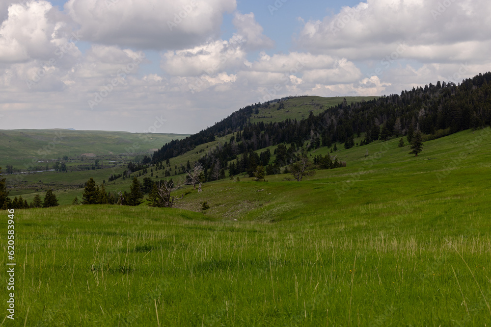 Obraz premium Montana Landscape
